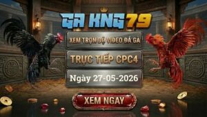 Xem Full Video Đá Gà CPC4 27/5/2026