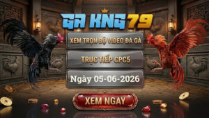 Xem Full Video Đá Gà CPC5 Ngày 5/6/2026 tại GAKING79